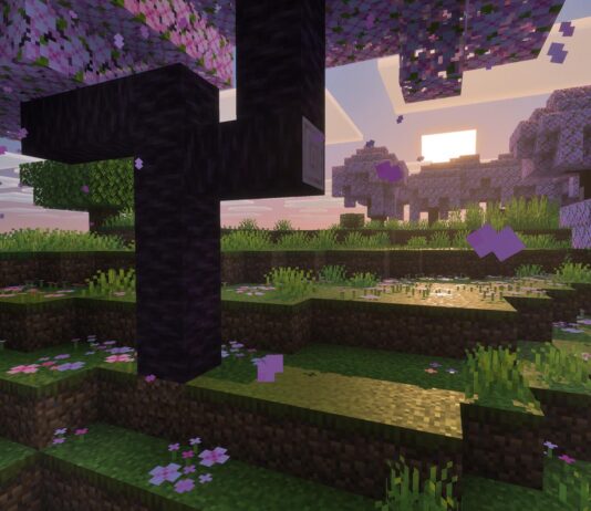 Minecraft: Stunning Graphics Realize Your Imagined Game World Minecraft: Vibrant Visuals Transforms the Game Into What You’ve Always Imagined in Your Head - Xbox Wire