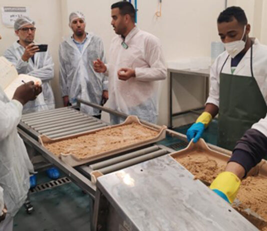 Plant Health Day: Combatting Africa’s Fruit Fly Problem International Day of Plant Health: Suppressing Fruit Flies in Africa