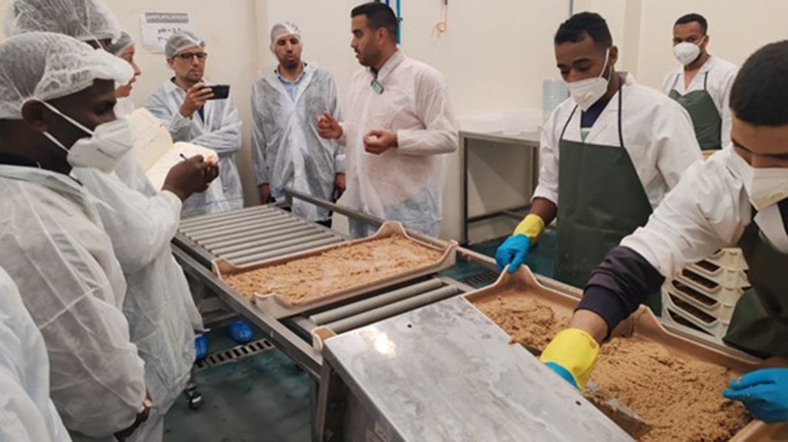 mediterranean fruit fly facility morocco 1140x640.jpg International Day of Plant Health: Suppressing Fruit Flies in Africa