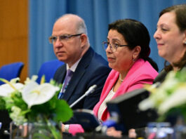 IAEA Launches Global Conference on Radiation Oncology IAEA Kicks Off International Radiation Oncology Conference