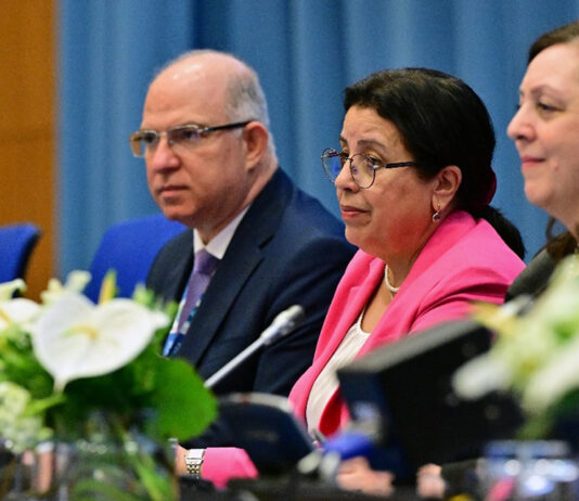 IAEA Launches Global Conference on Radiation Oncology IAEA Kicks Off International Radiation Oncology Conference