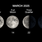 Upcoming Worm Moon Marks the Next Full Moon The main phases of the Moon are illustrated in a horizontal row, with the first quarter on March 6, full moon on March 14, the third quarter moon on March 22, and the new moon on March 29.