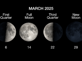 Upcoming Worm Moon Marks the Next Full Moon The main phases of the Moon are illustrated in a horizontal row, with the first quarter on March 6, full moon on March 14, the third quarter moon on March 22, and the new moon on March 29.