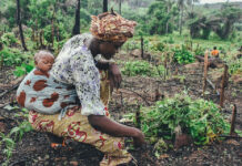 Infant Nutrition Research Project Focuses on Human Milk Optimization New Project to Optimize Human Milk Intake Research in Infants