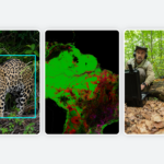 AI Innovations for Nature Conservation and Restoration Unveiled 3 new ways we’re working to protect and restore nature using AI