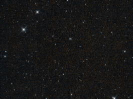 NASA Mission Ends After Years of Asteroid Detection Success An image captured by NASA’s NEOWISE shows part of the Fornax constellation in the Southern Hemisphere.