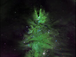 NASA Reaches New Heights with Shining Star Mission Wispy green clouds in a conical shape strongly resemble an evergreen tree. Tiny specks of white, blue, purple, and red light, stars within the cluster, dot the structure, turning the cloud into a festive, cosmic Christmas tree.