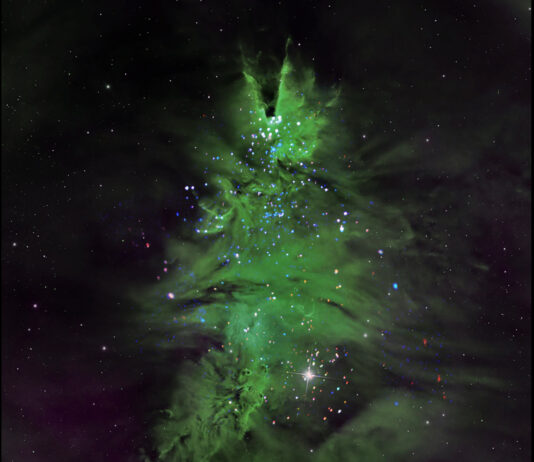 NASA Reaches New Heights with Shining Star Mission Wispy green clouds in a conical shape strongly resemble an evergreen tree. Tiny specks of white, blue, purple, and red light, stars within the cluster, dot the structure, turning the cloud into a festive, cosmic Christmas tree.
