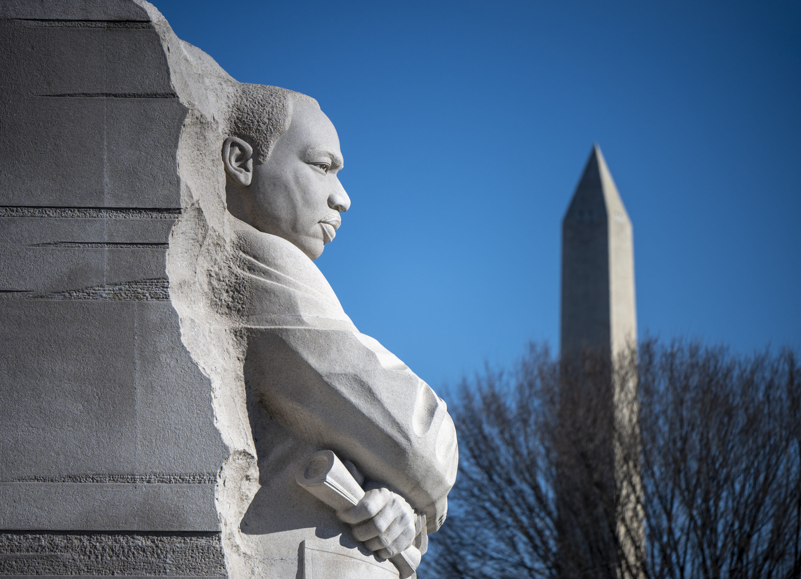 nhq202501050006.jpg A close-up image of a light gray stone statue of Martin Luther King, Jr. in Washington. The Washington Monument is visible in the background, behind the leafless branches of a tree.
