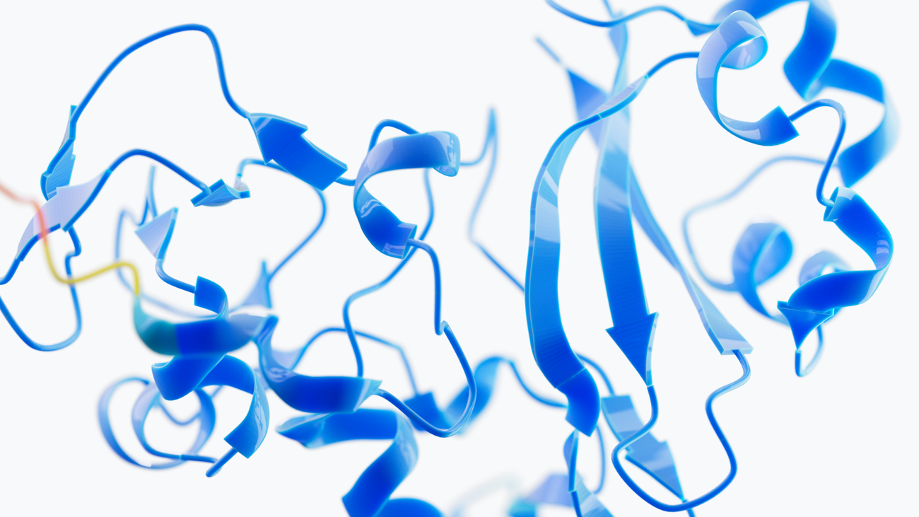 nobel google social.width 1300.png Google DeepMind's Demis Hassabis & John Jumper awarded Nobel Prize in Chemistry