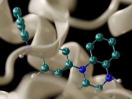 NVIDIA NIM Agent Uses Generative AI for Rapid Molecule Discovery Better Molecules, Faster: NVIDIA NIM Agent Blueprint Redefines Hit Identification With Generative AI-Based Virtual Screening