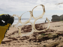 Nuclear Innovations: Transforming the Future of Plastic Recycling How Nuclear Tech Could Revolutionise Plastic Recycling