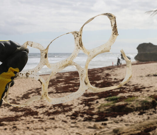 Nuclear Innovations: Transforming the Future of Plastic Recycling How Nuclear Tech Could Revolutionise Plastic Recycling