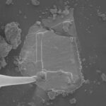 NASA Discovers Sugars and Stardust in Asteroid Bennu Samples Sugars, ‘Gum,’ Stardust Found in NASA's Asteroid Bennu Samples - NASA