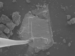 NASA Discovers Sugars and Stardust in Asteroid Bennu Samples Sugars, ‘Gum,’ Stardust Found in NASA's Asteroid Bennu Samples - NASA