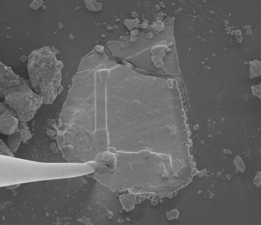 NASA Discovers Sugars and Stardust in Asteroid Bennu Samples Sugars, ‘Gum,’ Stardust Found in NASA's Asteroid Bennu Samples - NASA