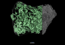 Unlocking Bennu’s Secrets: NASA’s Breakthrough Discovery. X-ray computed tomography scans of asteroid samples show both their exterior and interior. The outside is a dark gray, rocky surface speckled with white dots, The inside is colored green here, revealing networks of cracks within the sample. At top, the cracks create peaks and valleys, which make the inside look like a topographical map.