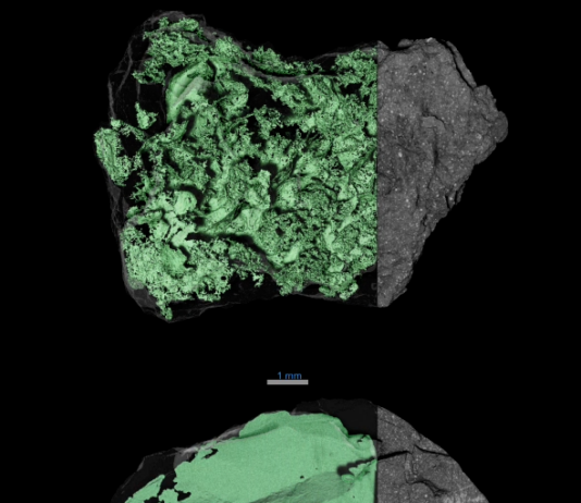 Unlocking Bennu’s Secrets: NASA’s Breakthrough Discovery. X-ray computed tomography scans of asteroid samples show both their exterior and interior. The outside is a dark gray, rocky surface speckled with white dots, The inside is colored green here, revealing networks of cracks within the sample. At top, the cracks create peaks and valleys, which make the inside look like a topographical map.