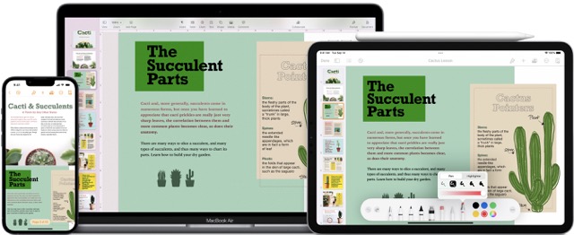 pages Show Word Count in Pages
