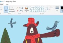 How To Use Microsoft Paint Background Removal Feature – Updated In 2023 paint feature