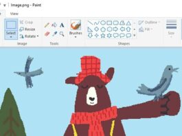 How To Use Microsoft Paint Background Removal Feature – Updated In 2023 paint feature