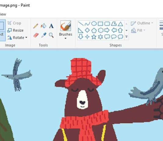 How To Use Microsoft Paint Background Removal Feature – Updated In 2023 paint feature