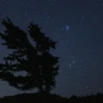 NASA Shares December 2024 Skywatching Advice NASA Logo