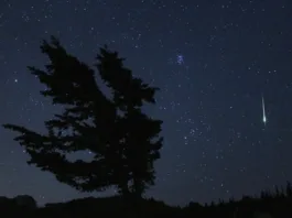 NASA Shares December 2024 Skywatching Advice NASA Logo