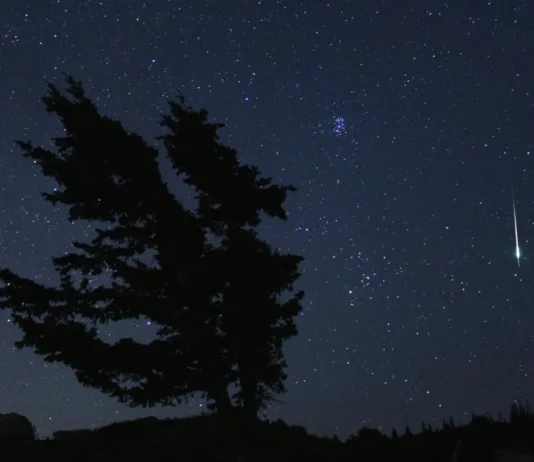 NASA Shares December 2024 Skywatching Advice NASA Logo
