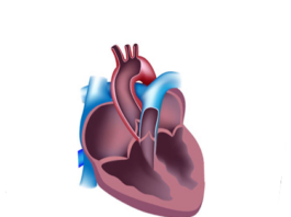 NASA Evaluates PFO’s Impact on DCS in Space and Ground Tests Assessment of PFO as Related to DCS in the Spaceflight Environment and During Ground Testing - NASA