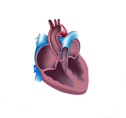 Assessment of PFO as Related to DCS in the Spaceflight Environment and During Ground Testing - NASA