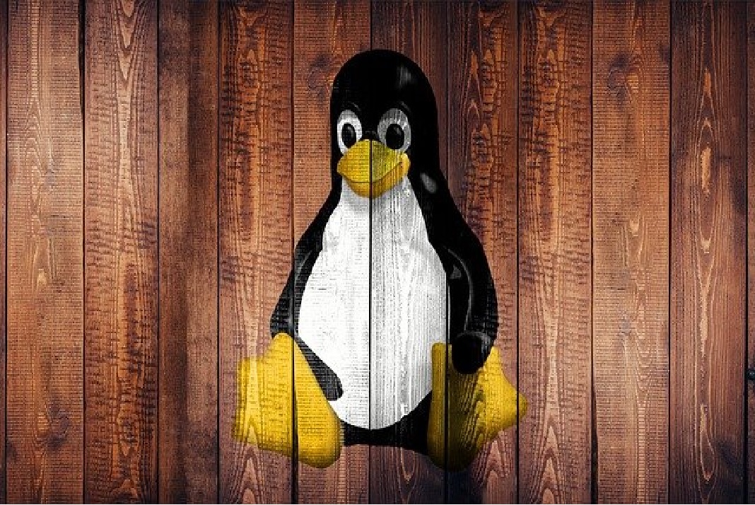 penguin waala linux How To Install Anbox App Manager And Google Play Store On Linux?