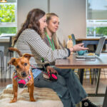 Pets at Home Launches AI Revolution with Copilot Agents A dog looks straight into the camera with a curious expression, tilting its head slightly, while behind it, two women work at a computer.