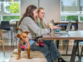 Pets at Home Launches AI Revolution with Copilot Agents A dog looks straight into the camera with a curious expression, tilting its head slightly, while behind it, two women work at a computer.