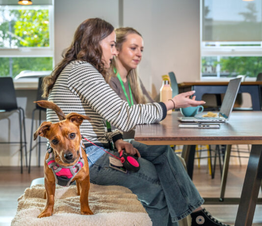 Pets at Home Launches AI Revolution with Copilot Agents A dog looks straight into the camera with a curious expression, tilting its head slightly, while behind it, two women work at a computer.