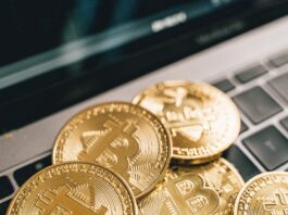 Why Crypto Market Is On The Rise- Will It Remain Like This For Long? crypto news