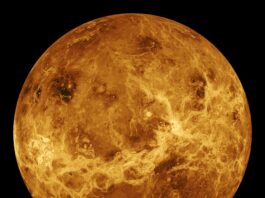 Venus Crust Discovery Unveiled by NASA Study Venus appears orange, yellow, and brown in this simulated view.