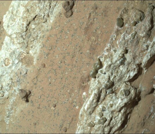 Mars Rover Found Possible Biosignature, Reports NASA Picture of the red-brown Mars terrain, which is spotted with tan and dark gray