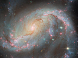 NASA: Hubble Sees a Brightly Lit Galaxy A spiral galaxy with an oval-shaped disk. Two large arms curve out away from the ends of the disk. Bright pink patches and dark reddish threads of dust fill the arms. The bright pink patches indicate where stars are forming. The core is very bright and filled with stars. Some large stars appear in front of the galaxy. Directly under the point where the right arm joins the disk, a fading supernova is visible as a green dot.