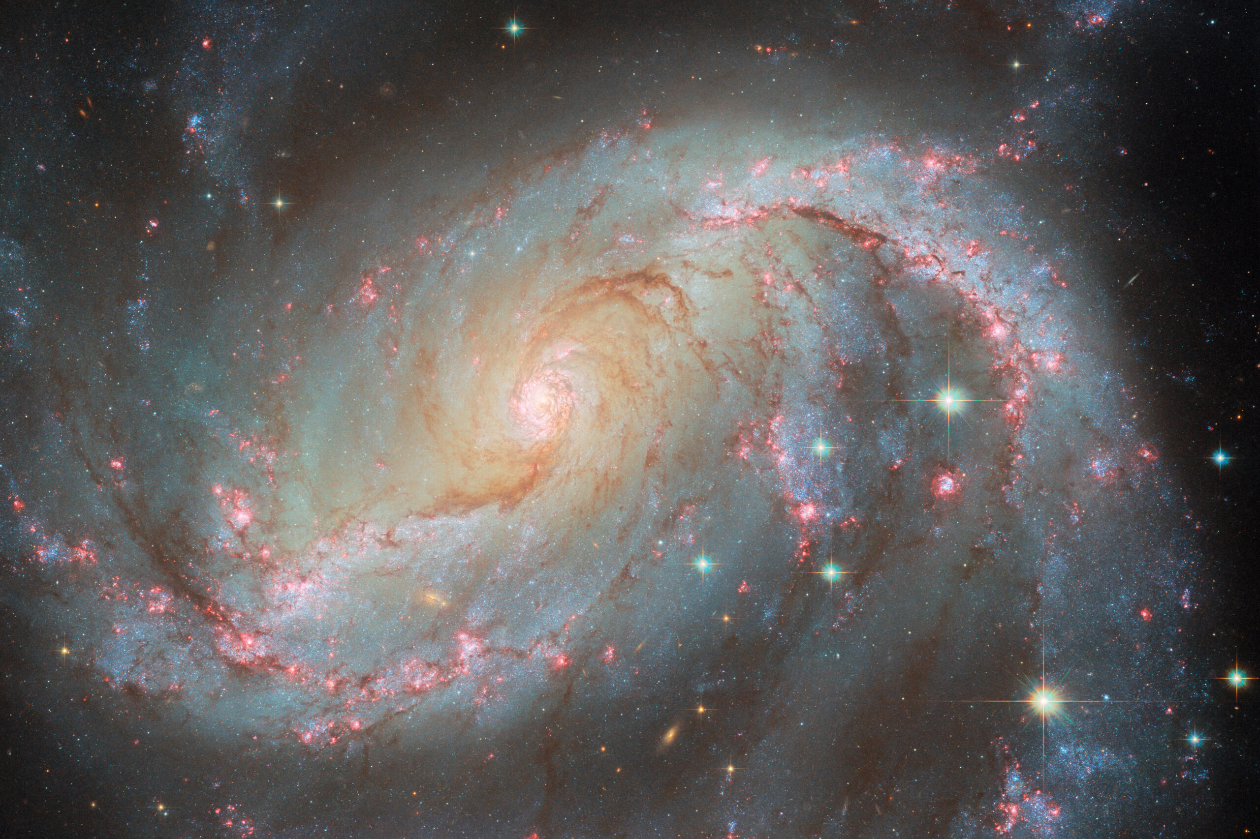 potw2445a.jpg A spiral galaxy with an oval-shaped disk. Two large arms curve out away from the ends of the disk. Bright pink patches and dark reddish threads of dust fill the arms. The bright pink patches indicate where stars are forming. The core is very bright and filled with stars. Some large stars appear in front of the galaxy. Directly under the point where the right arm joins the disk, a fading supernova is visible as a green dot.