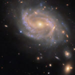 NASA’s Hubble Discovers a Twisting Spiral Galaxy A spiral galaxy with a disk made of several swirling arms. Patchy blue clouds of gas speckle the disk where stars are forming and lighting the gas around them. The core of the galaxy is large and shines brightly gold, while the spiral arms are a paler and faint reddish color. Neighboring galaxies – from small, elongated spots to larger swirling spirals – are visible across the black background.