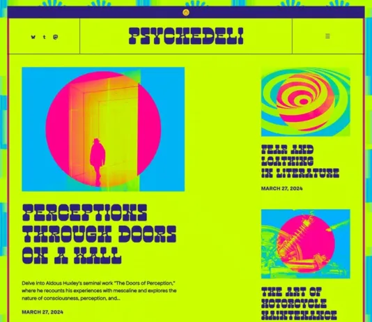h3 WordPress Themes Urgently Require Innovative and Unique Designs Psychedeli theme