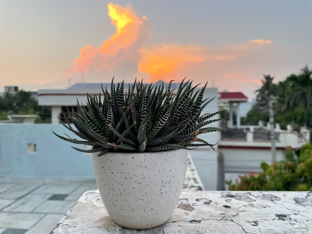 Shoot And Edit Dramatic Summer Light On iPhone