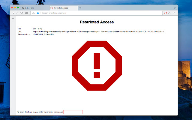 open blocked website