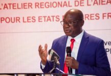 French-Speaking Africa Hosts Nuclear Law Workshop to Bolster Legislation Strengthening Legal Frameworks: Subregional Workshop on Nuclear Law for French-Speaking African Member States