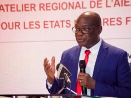 French-Speaking Africa Hosts Nuclear Law Workshop to Bolster Legislation Strengthening Legal Frameworks: Subregional Workshop on Nuclear Law for French-Speaking African Member States
