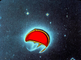 NASA Captures Earth in Far-Ultraviolet Imagery In this enhanced-color photo, Earth is represented in shades of aqua blue, red, and yellow. Earth