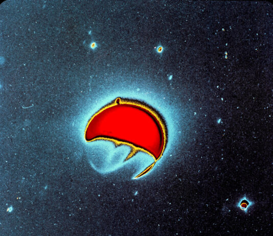 NASA Captures Earth in Far-Ultraviolet Imagery In this enhanced-color photo, Earth is represented in shades of aqua blue, red, and yellow. Earth