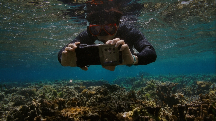 Coral in Focus: Samsung Marks One Year of Marine Ecosystem Restoration With Galaxy Technology