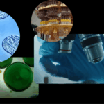 AI Enhancing Scientific Research for Increased Real-World Impact How we're using AI to drive scientific research with greater real-world benefit